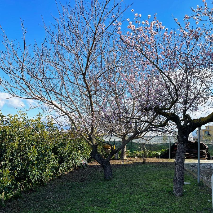 Casa Vacanze Paradise Santa Maria La Carità 외부 사진