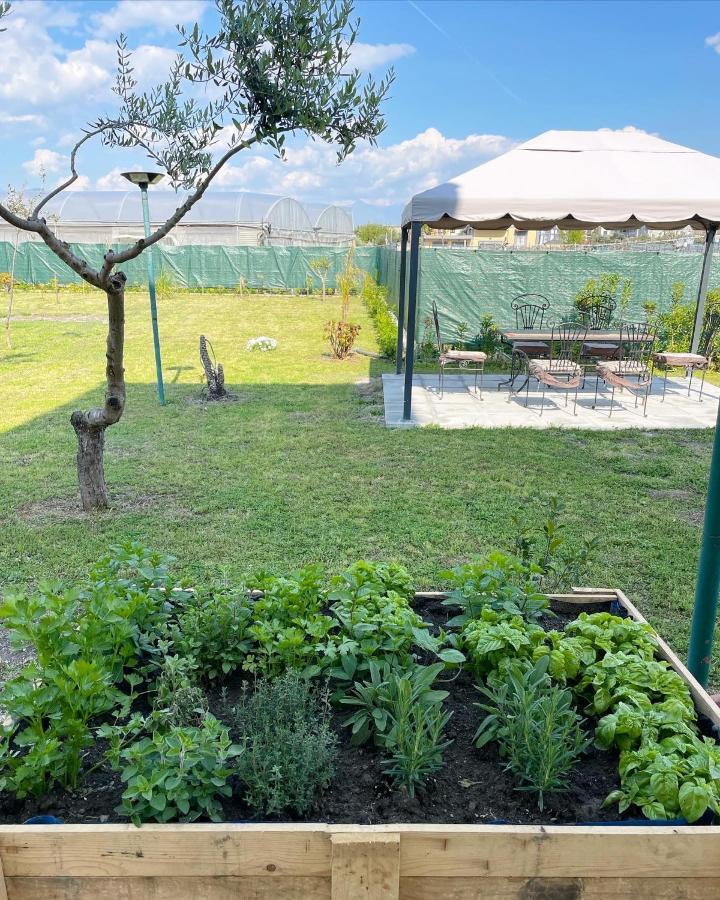 Casa Vacanze Paradise Santa Maria La Carità 외부 사진