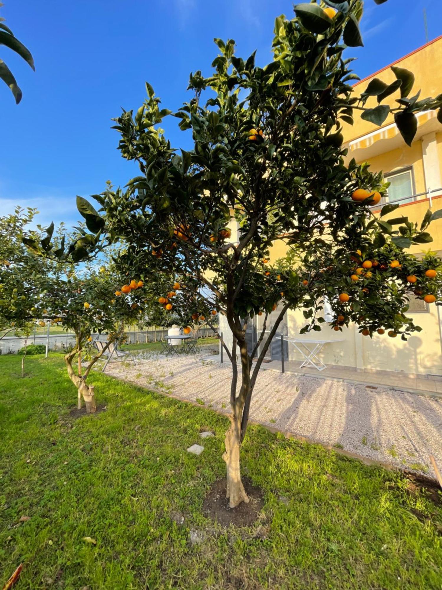 Casa Vacanze Paradise Santa Maria La Carità 외부 사진