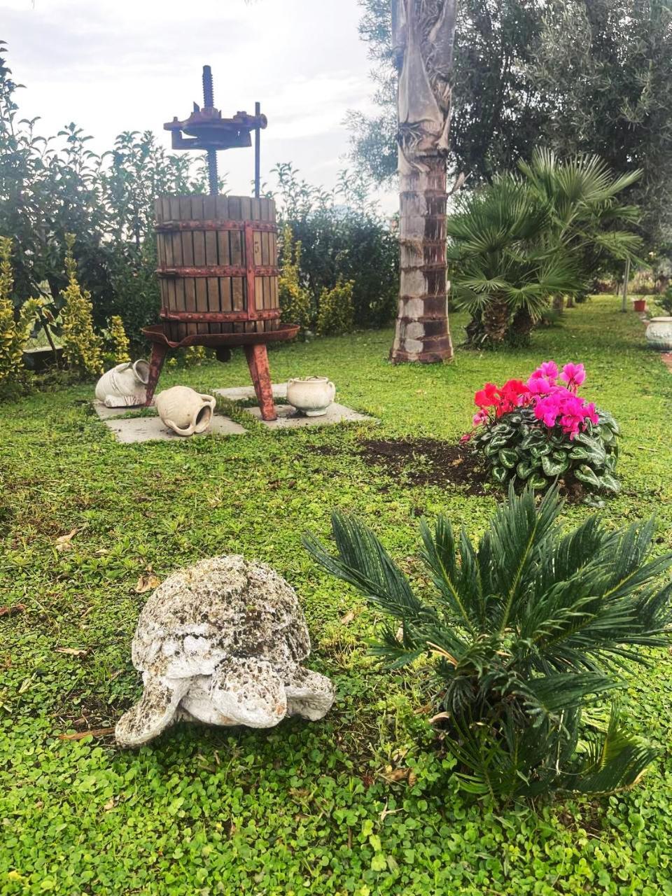 Casa Vacanze Paradise Santa Maria La Carità 외부 사진